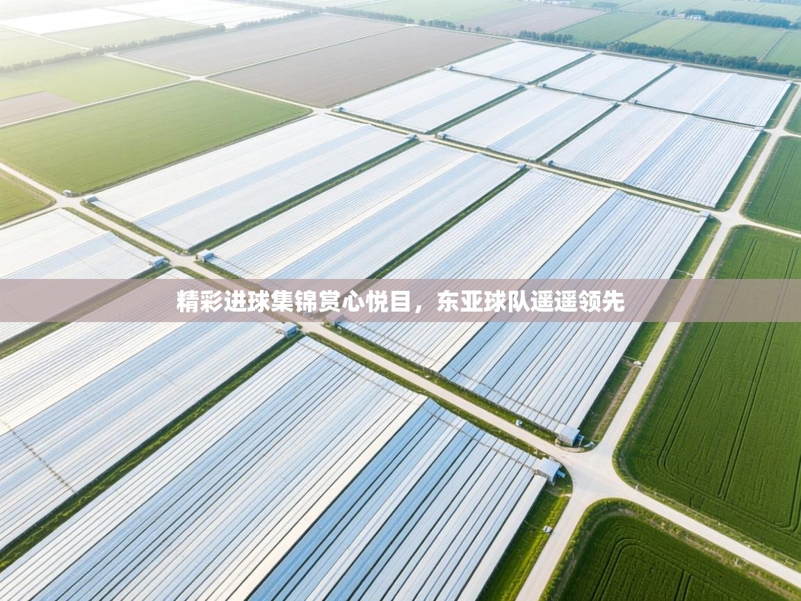 精彩进球集锦赏心悦目，东亚球队遥遥领先